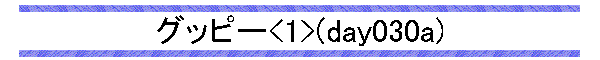 Obs[<1>(day030a)