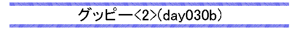 Obs[<2>(day030b)